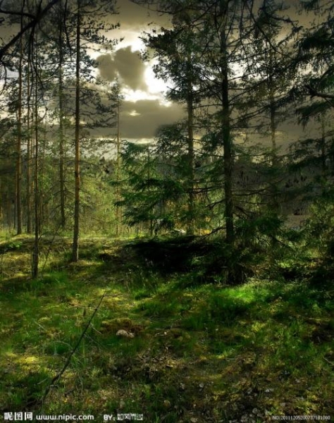 森林经营方案规划设计论证公司