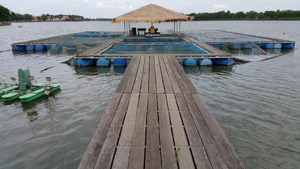锦鲤鱼养殖场污染鉴定评估机构
