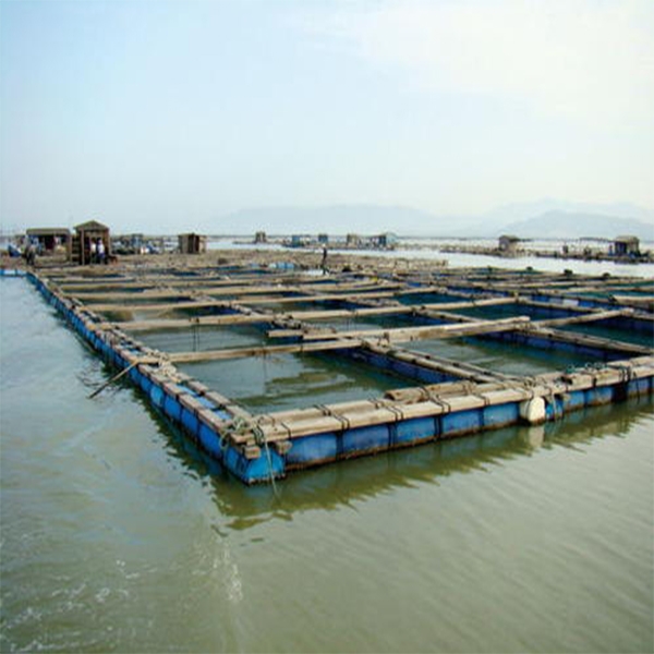 水体养殖物鉴定  中国渔业协会和中国水产协会会员单位